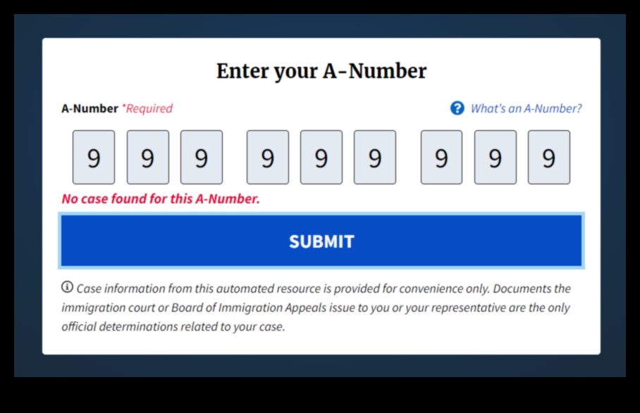 how to check immigration court date online