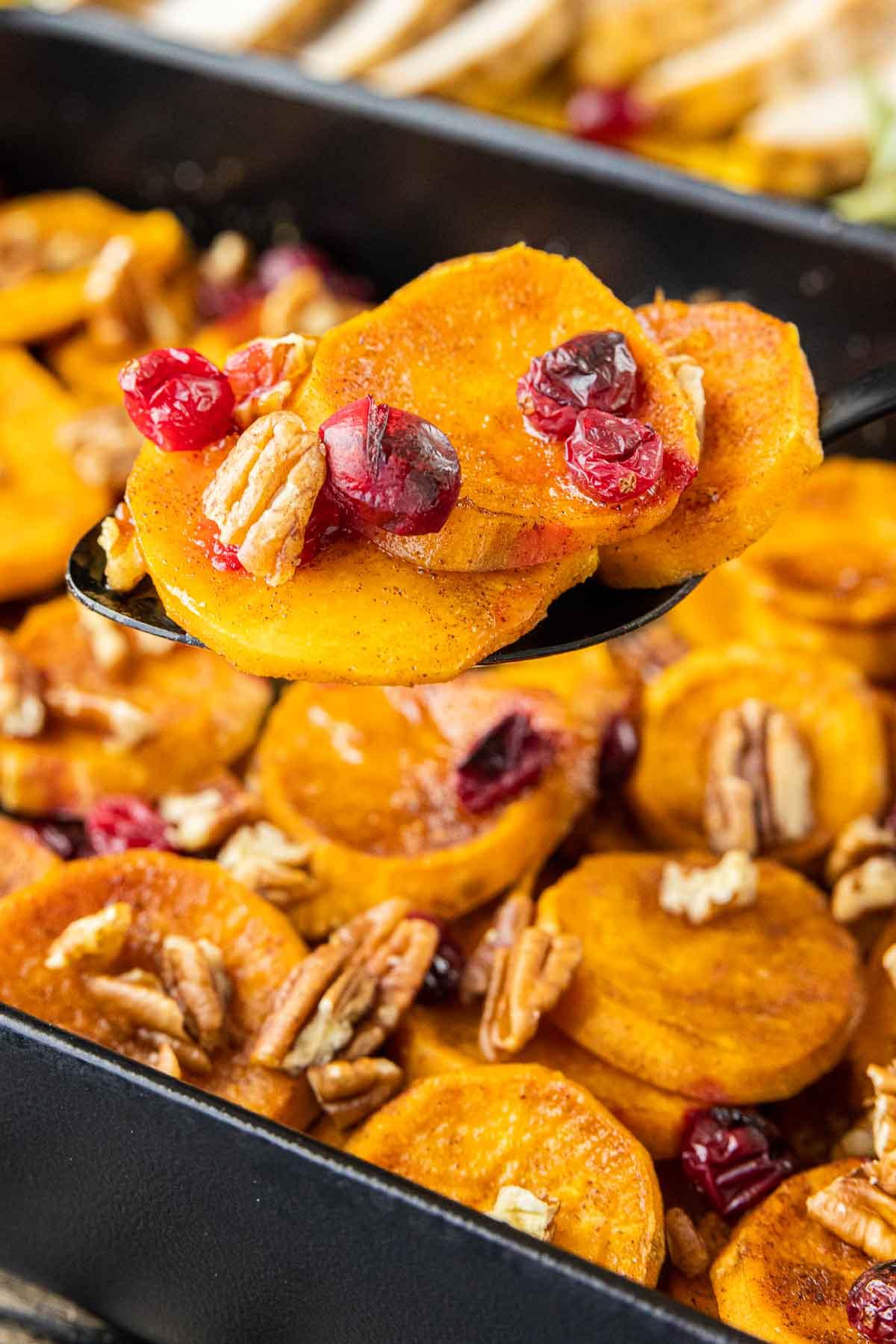 Cranberry-Süßkartoffel-Auflauf 13 Süßkartoffel-Preiselbeer-Auflauf servieren