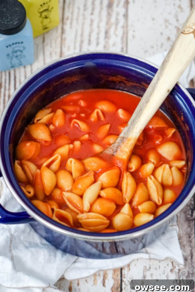 Homestyle Tomato Macaroni Comfort 2 A bowl of Old Fashioned Tomato Macaroni, a simple and comforting pasta dish, ready to be enjoyed.