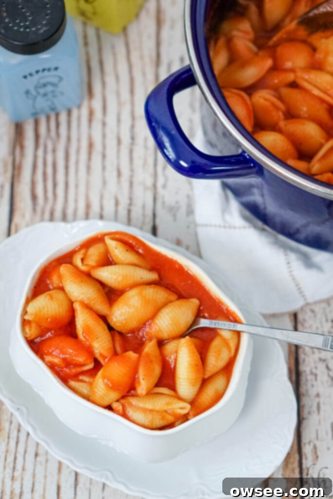 Homestyle Tomato Macaroni Comfort 9 A serving of Old Fashioned Tomato Macaroni sits in a white bowl next to a blue stockpot, ready to be enjoyed or stored.