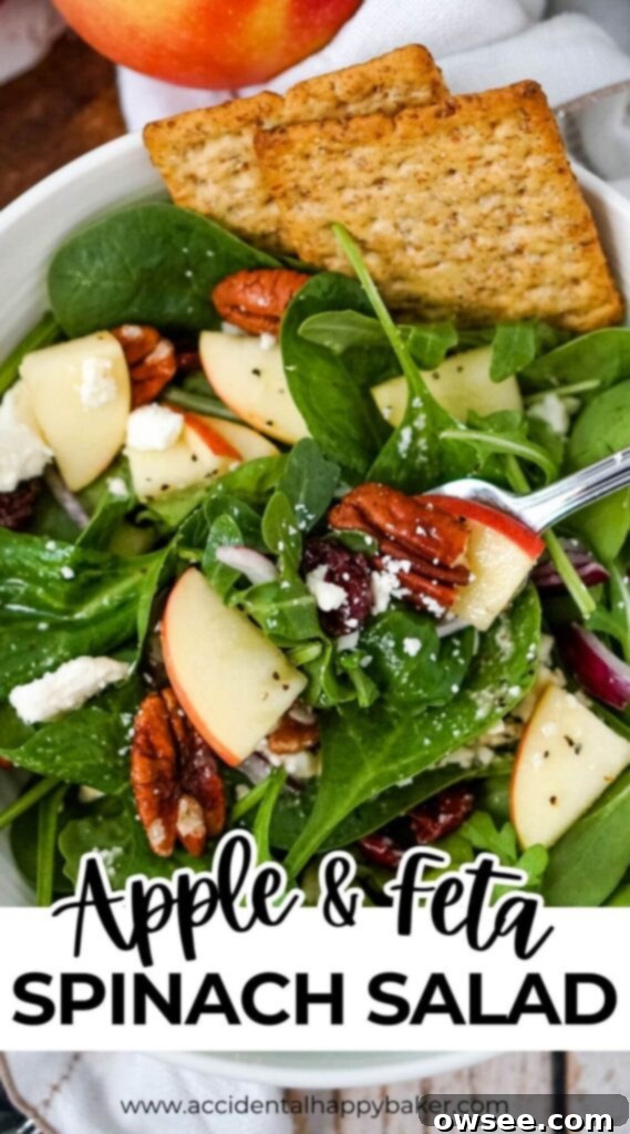 Crisp Apple, Creamy Feta and Spinach Salad 12 A beautifully presented Apple Feta Spinach Salad, rich with green spinach, crisp red apple slices, white feta crumbles, toasted pecans, and dried cranberries, glistening with a maple vinaigrette.