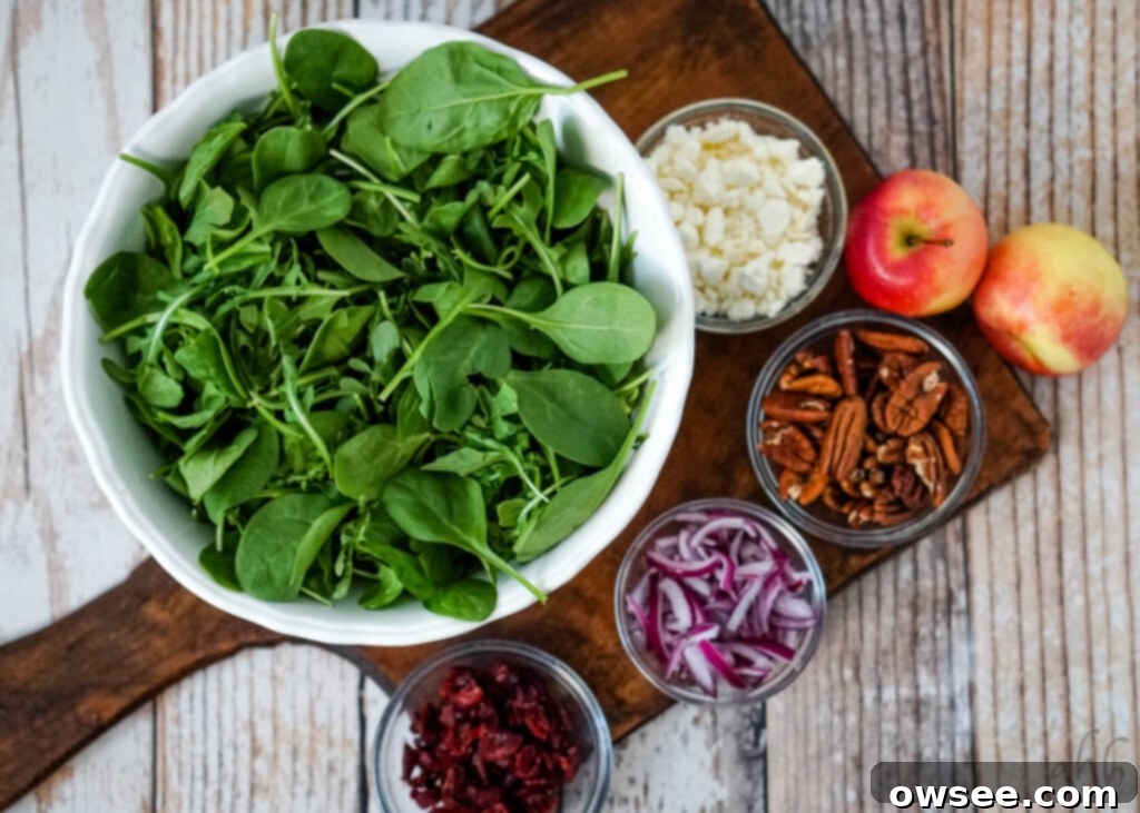 Crisp Apple, Creamy Feta and Spinach Salad 7 A beautiful display of fresh ingredients for Apple Feta Spinach Salad: a pile of vibrant spinach, crumbles of white feta cheese, two crisp red apples, golden toasted pecan halves, thinly sliced red onion, and ruby-red dried cranberry pieces, all arranged in a white bowl.