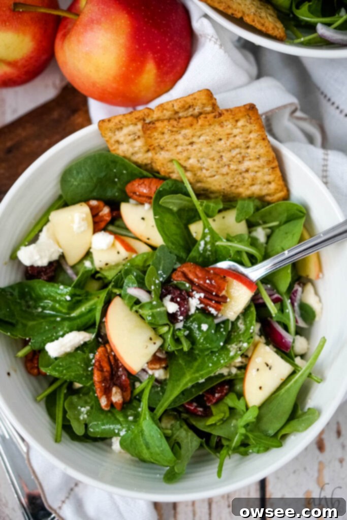 Crisp Apple, Creamy Feta and Spinach Salad 10 A generous serving of Apple Feta Spinach Salad arranged beautifully in a white bowl, accompanied by two crackers and a fork, ready to be enjoyed.