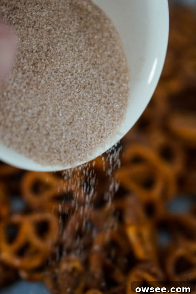 Sweet Cinnamon Twists 6 A white bowl of cinnamon sugar is sprinkled onto the coated pretzels.
