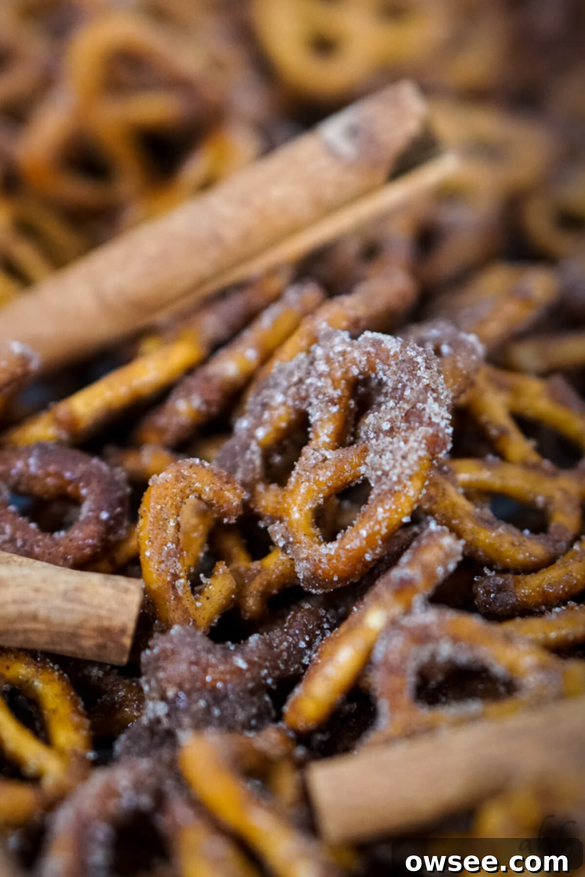 Sweet Cinnamon Twists 8 A closeup of Cinnamon Sugar Pretzels with cinnamon sticks.