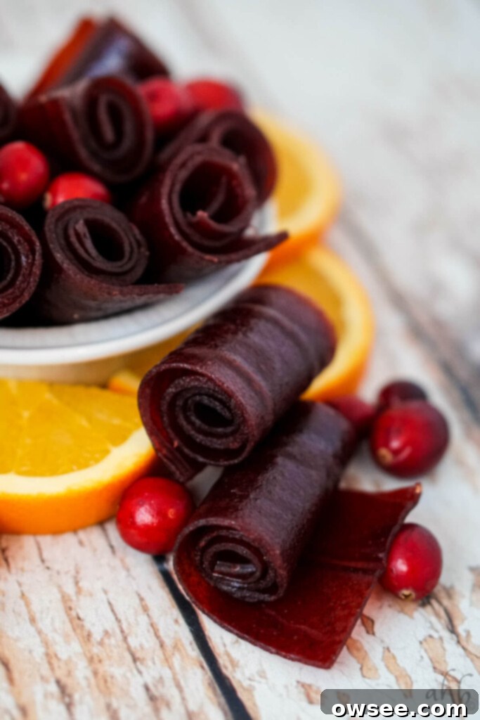 Zesty Cranberry Orange Fruit Strips 2 Two Cranberry orange fruit leather rolls with several cranberries and orange slices next to a bowl of cranberry orange fruit leather rolls.
