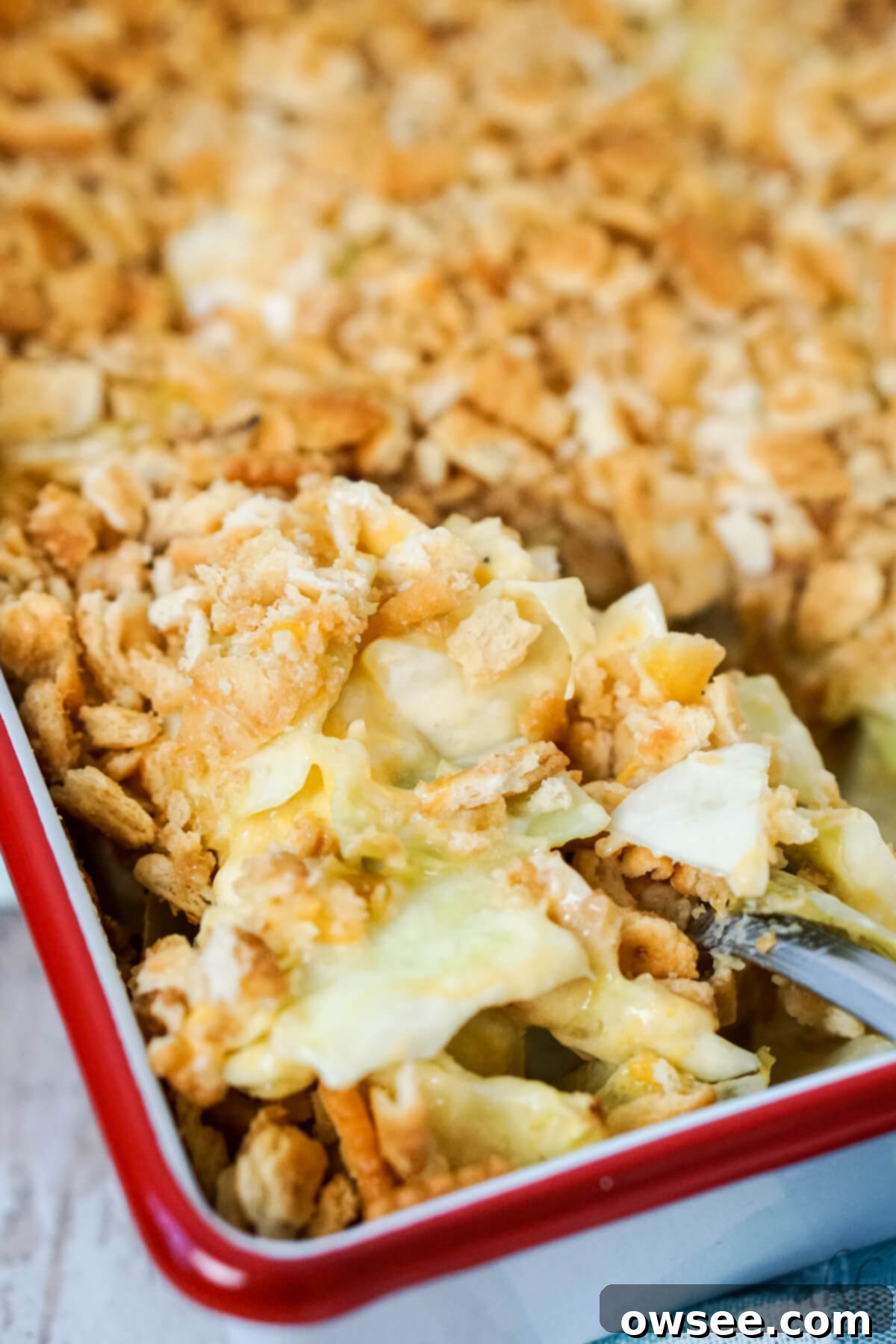 Creamy Cabbage Bake 8 img 10190 7
