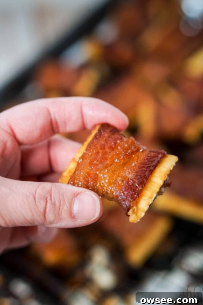 Sweet Heat Bacon Crisps 3 A hand holding a single, perfectly crispy Cajun Candied Bacon Cracker, showcasing its caramelized texture.