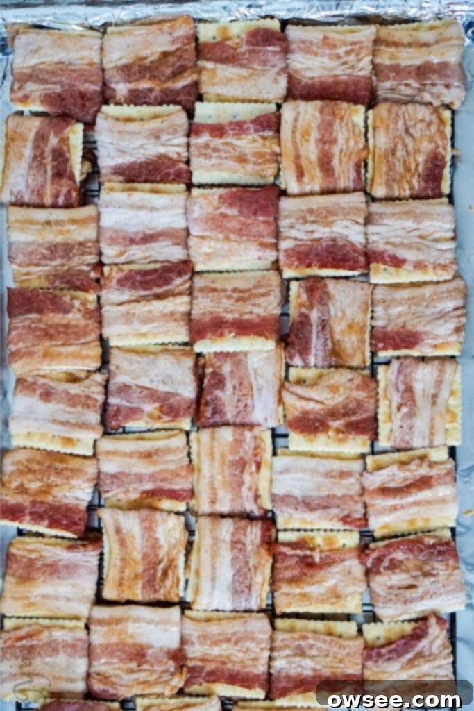 Sweet Heat Bacon Crisps 6 An assembled tray of uncooked Cajun Candied Bacon Crackers, neatly arranged on a wire rack, ready for baking.