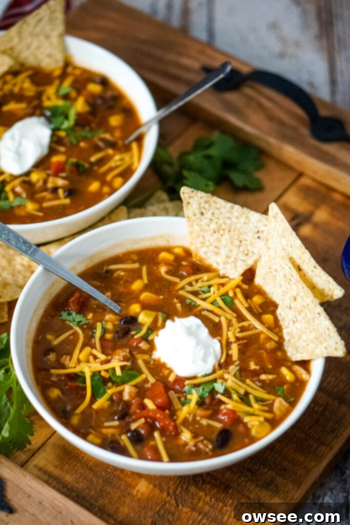 Effortless Seven Can Chicken Taco Soup 2 A vibrant bowl of 7 Can Chicken Taco Soup generously garnished with fresh cilantro, a dollop of cool sour cream, a sprinkle of shredded cheddar cheese, and crunchy tortilla chips.