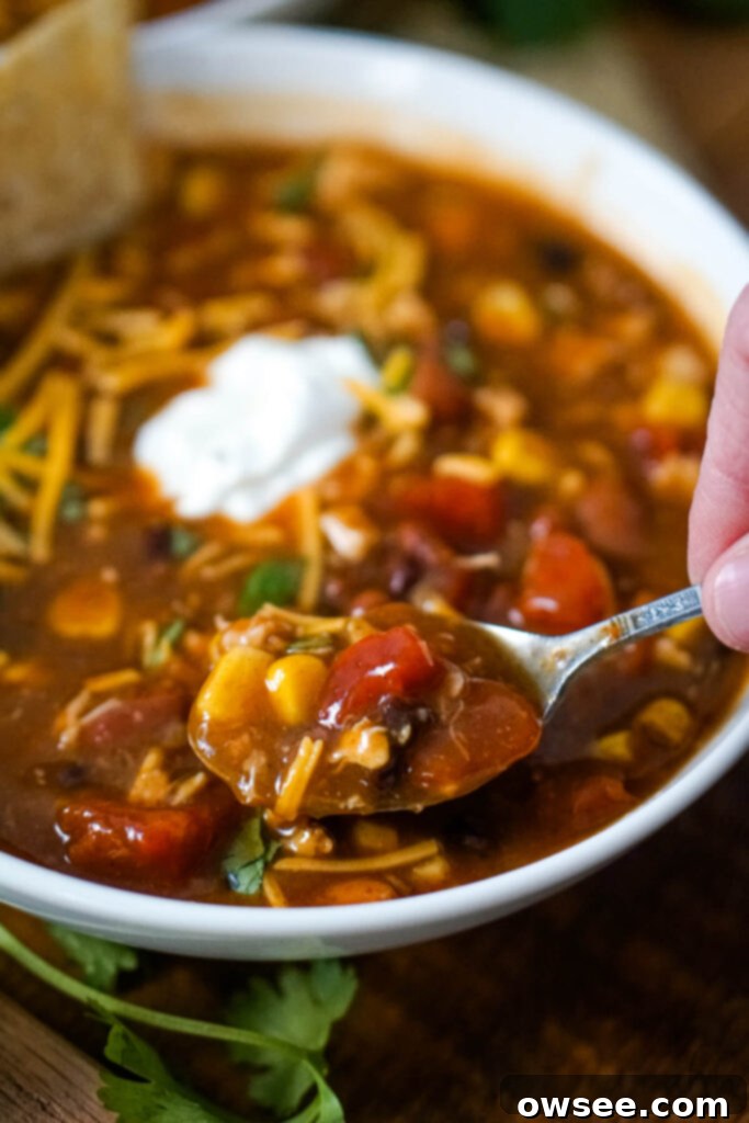 Effortless Seven Can Chicken Taco Soup 3 A close-up shot of a spoonful of 7 Can Chicken Taco Soup, highlighting the rich texture and delicious ingredients, ready to be enjoyed.