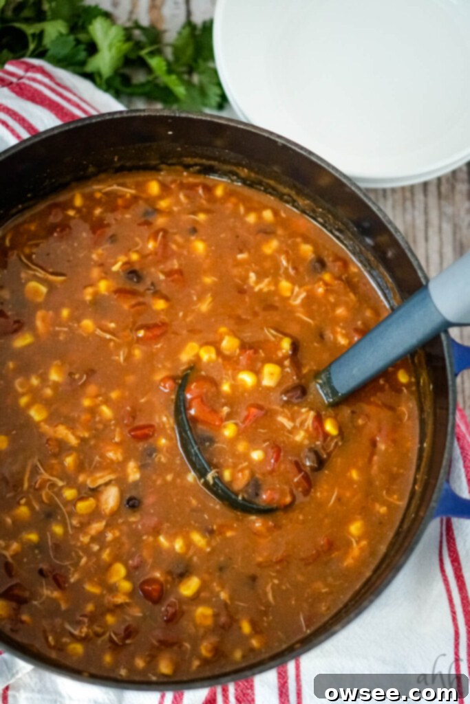 Effortless Seven Can Chicken Taco Soup 4 A large stockpot brimming with simmering 7 Can Chicken Taco Soup, with a ladle resting on the side, ready for serving.