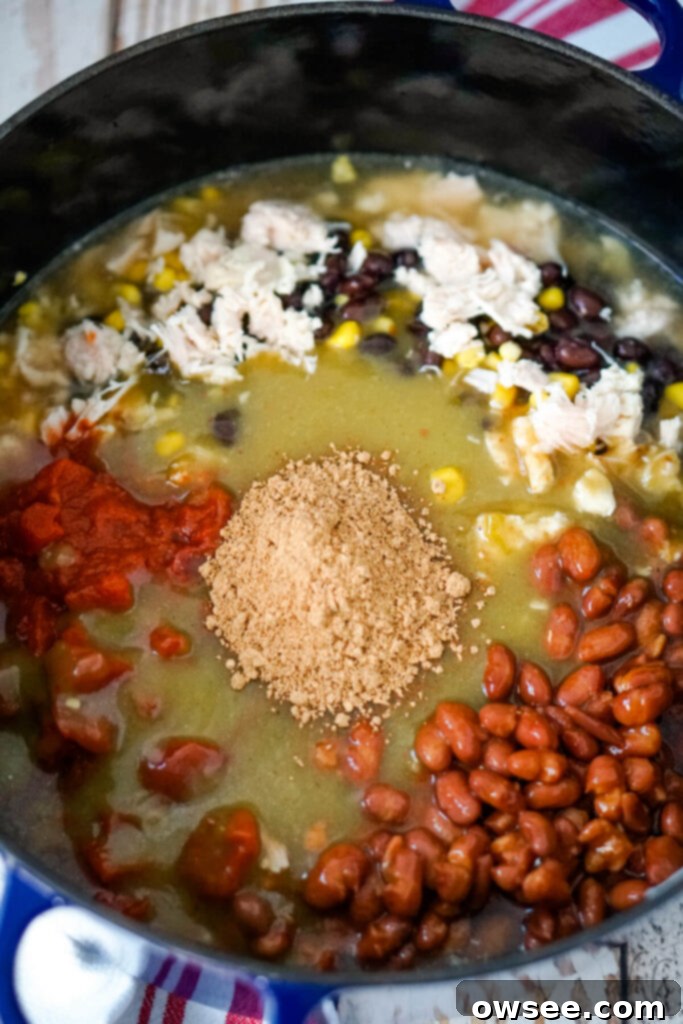 Effortless Seven Can Chicken Taco Soup 8 All the canned ingredients, including beans, corn, tomatoes, broth, and sauces, combined in a large stockpot before cooking, showing all elements in one pot.