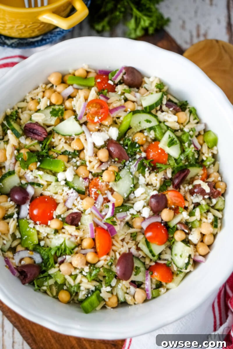 Zesty Orzo Chickpea Salad 3 The tossed and finished Orzo Garbanzo Bean Salad in a white bowl, ready to be served.