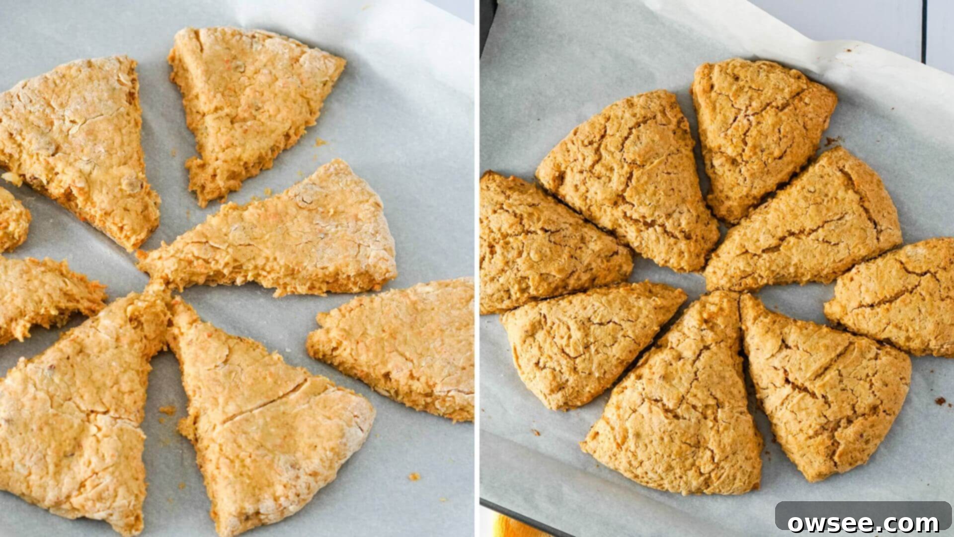 Effortless Carrot Cake Scones 8 The circle is divided into eight pieces and separated before they are baked.