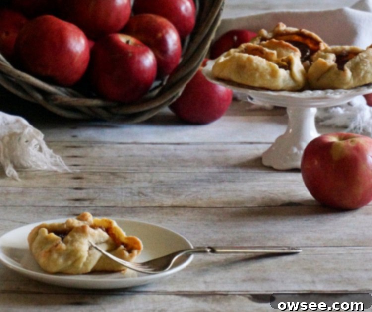 Bite Sized Apple Delights 2 Mini Apple Tarts
