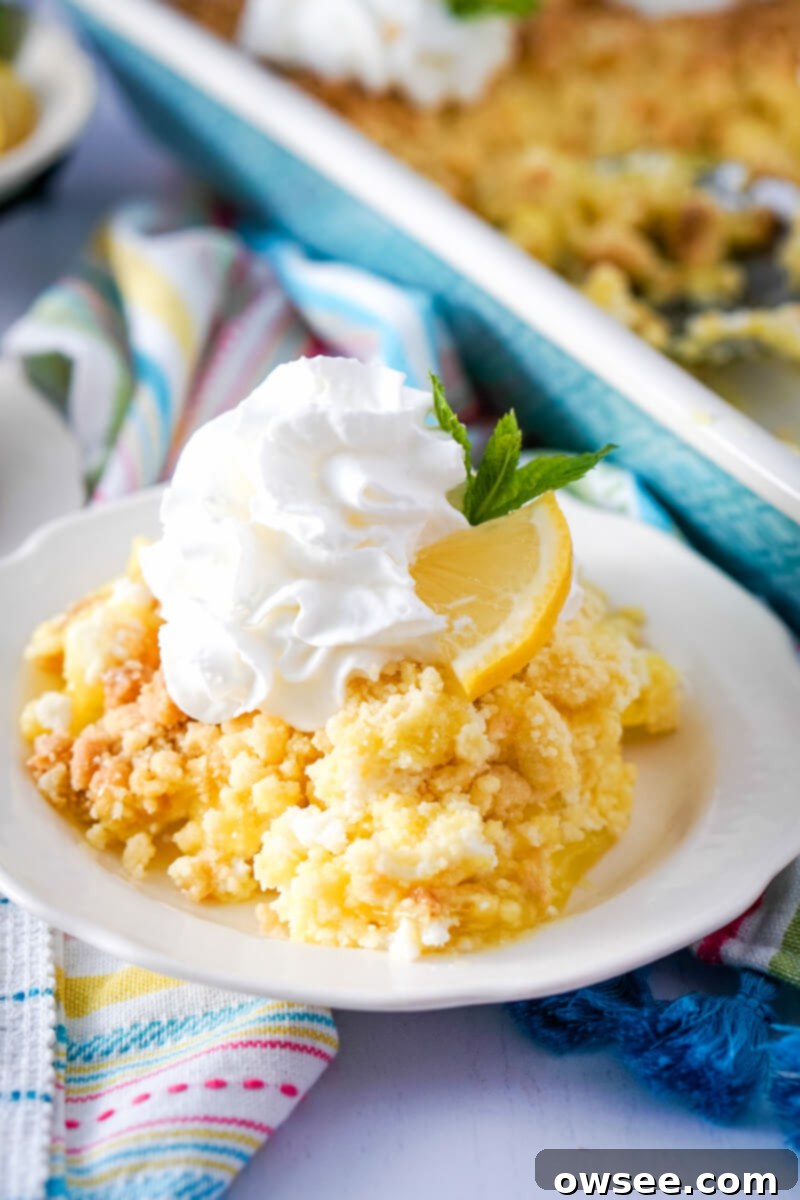 Zesty Lemon Dump Cake 2 A serving of lemon dump cake is topped with whipped cream, a lemon slice, and a garnish on a white plate. The cake shows distinct layers of lemon filling, cream cheese, and a golden crumbly top.