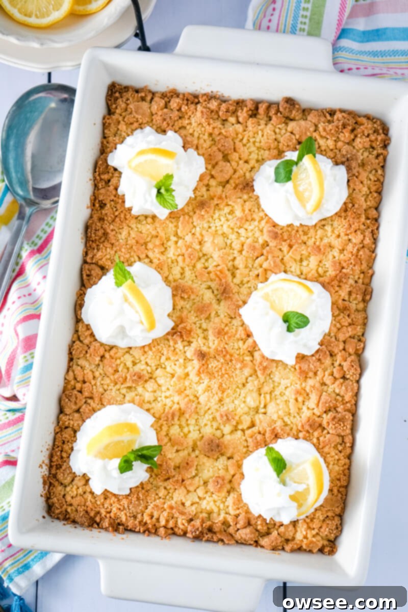 Zesty Lemon Dump Cake 8 A freshly baked lemon dump cake, with a golden-brown crumbly topping, is adorned with generous swirls of whipped cream and delicate slices of fresh lemon, ready to be served.
