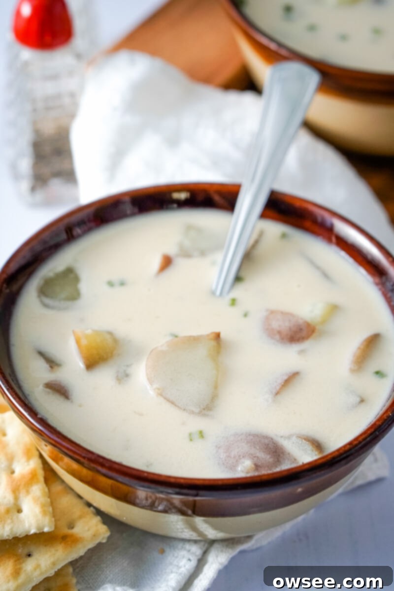 Unbelievably Easy 3 Ingredient Potato Soup 2 A serving of 3 ingredient potato soup in a brown bowl.