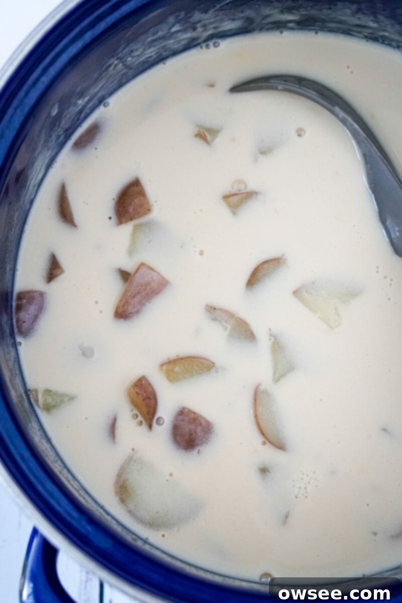 Unbelievably Easy 3 Ingredient Potato Soup 6 The alfredo sauce has been added to the pot and stirred.