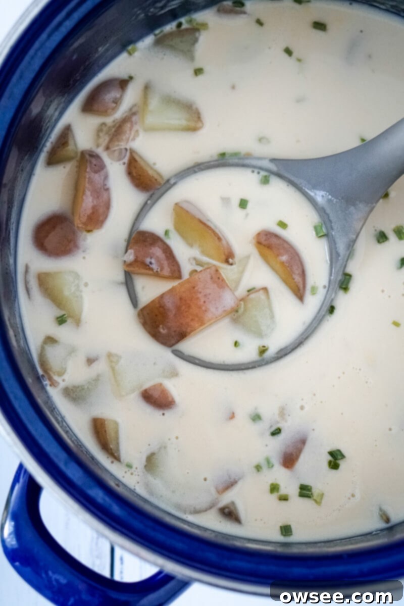 Unbelievably Easy 3 Ingredient Potato Soup 7 A ladle full of 3 ingredient potato soup over the blue pot.