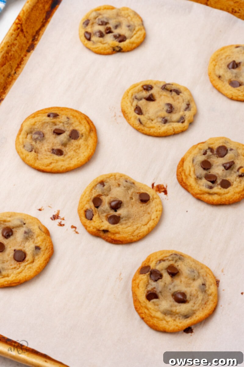 A fresh batch of golden brown malted chocolate chip cookies rests on parchment paper on a baking sheet, with perfect melted chocolate centers.