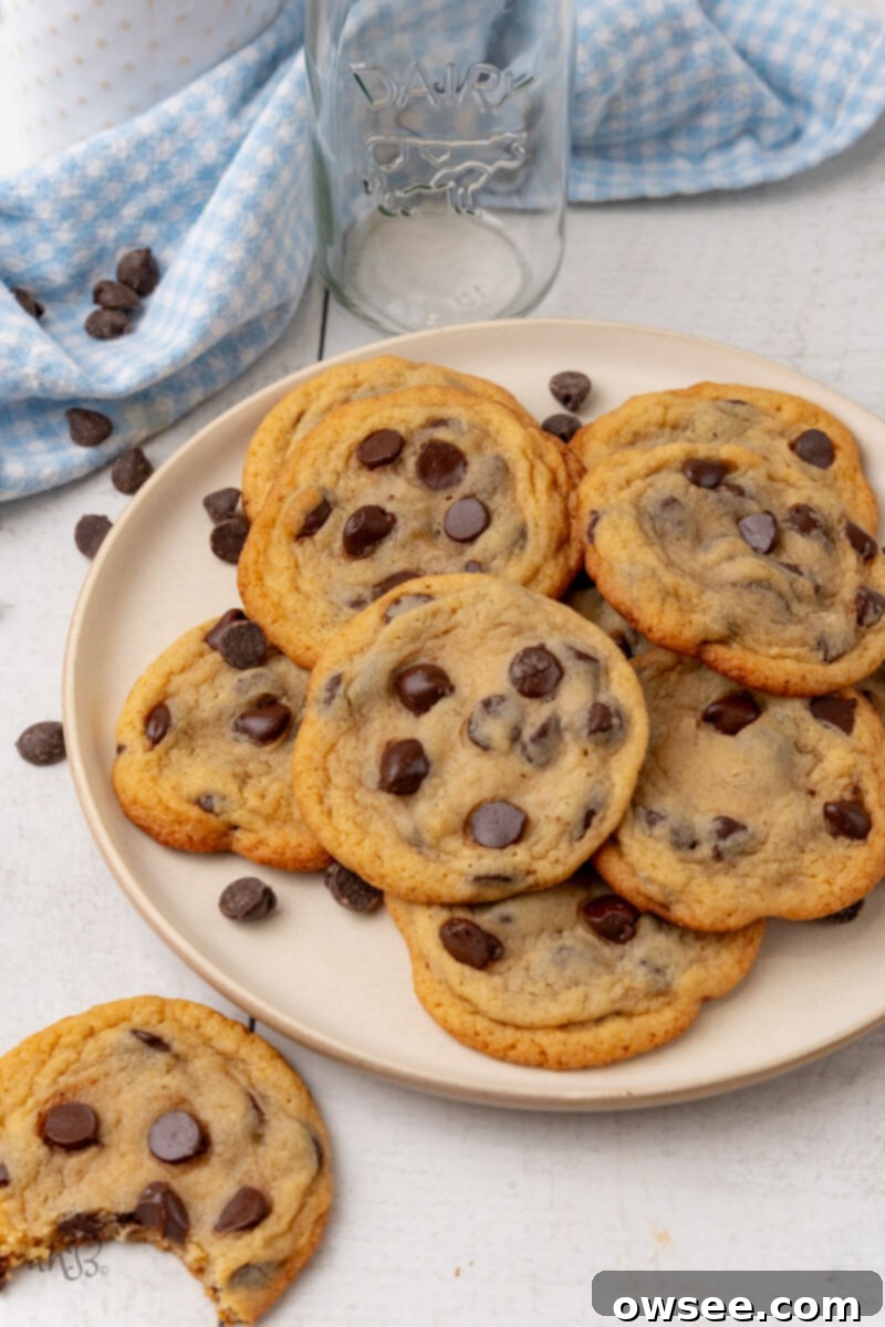 A full plate of golden brown Malted Chocolate Chip cookies sits next to a single cookie with a bite delightfully taken out, revealing its soft, chewy interior and melted chocolate.