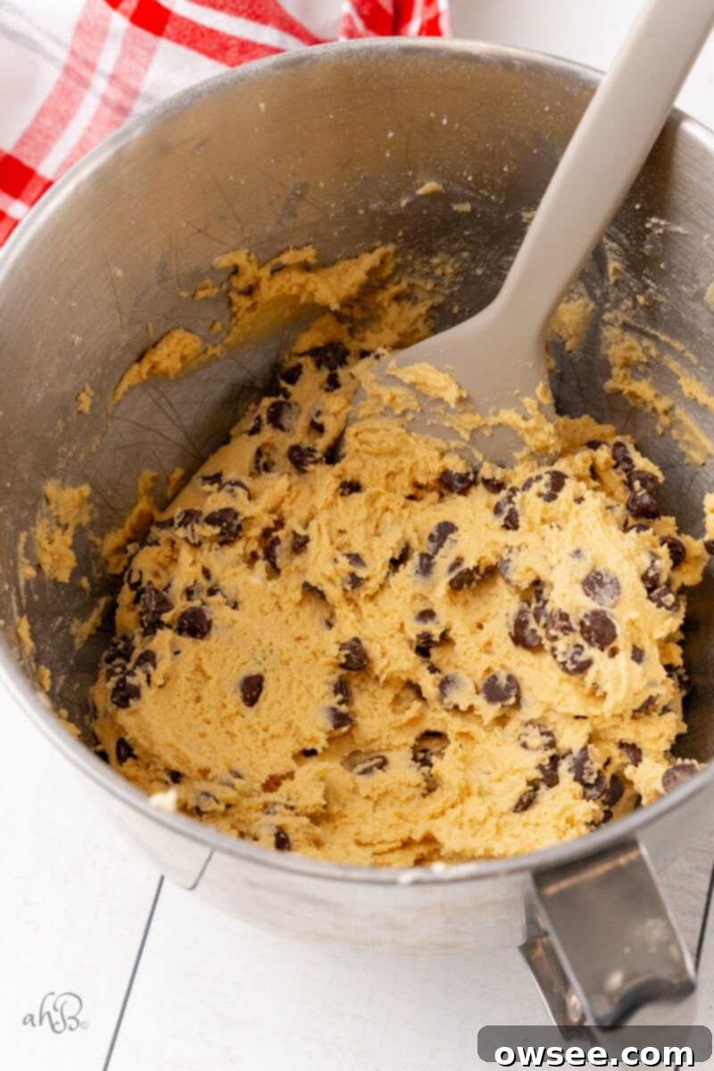 The Malted Chocolate Chip cookie dough has been perfectly formed in the metal bowl, and a spatula is used to gently stir in the generous amount of chocolate chips.