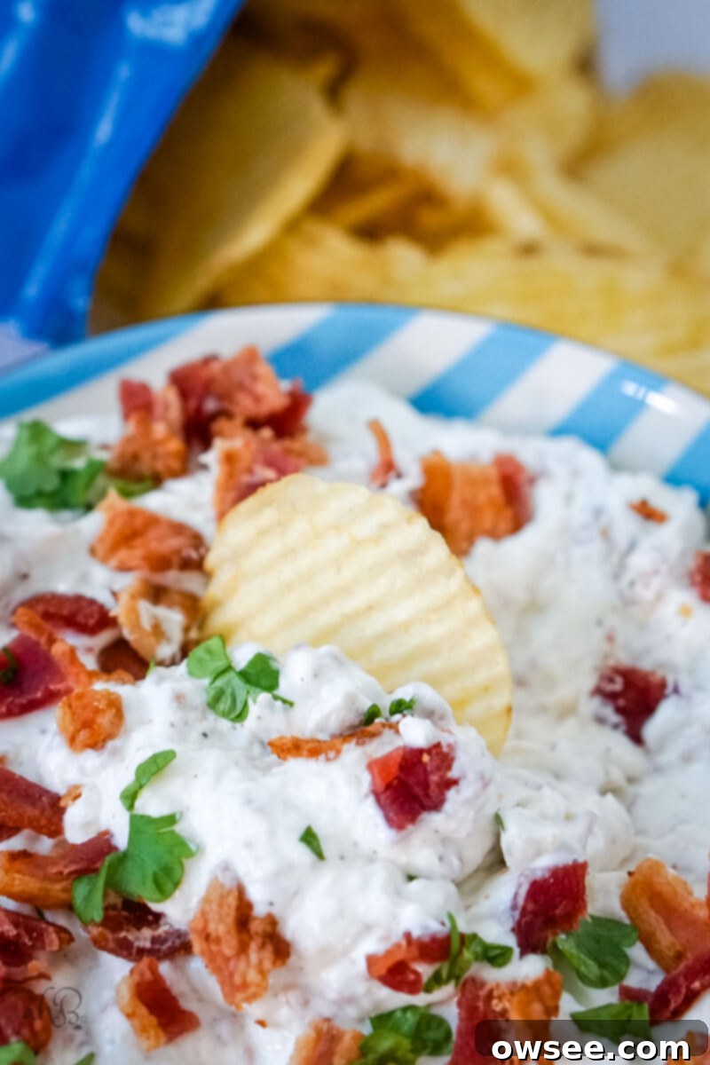 Smoky Horseradish Bacon Sensation 4 A chip sits in the bowl of bacon horseradish dip.