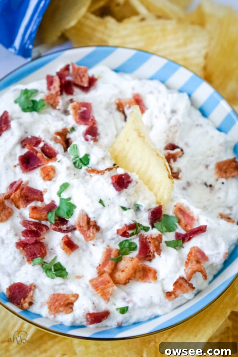 Smoky Horseradish Bacon Sensation 7 A potato chip sits in the bowl of bacon horseradish dip.