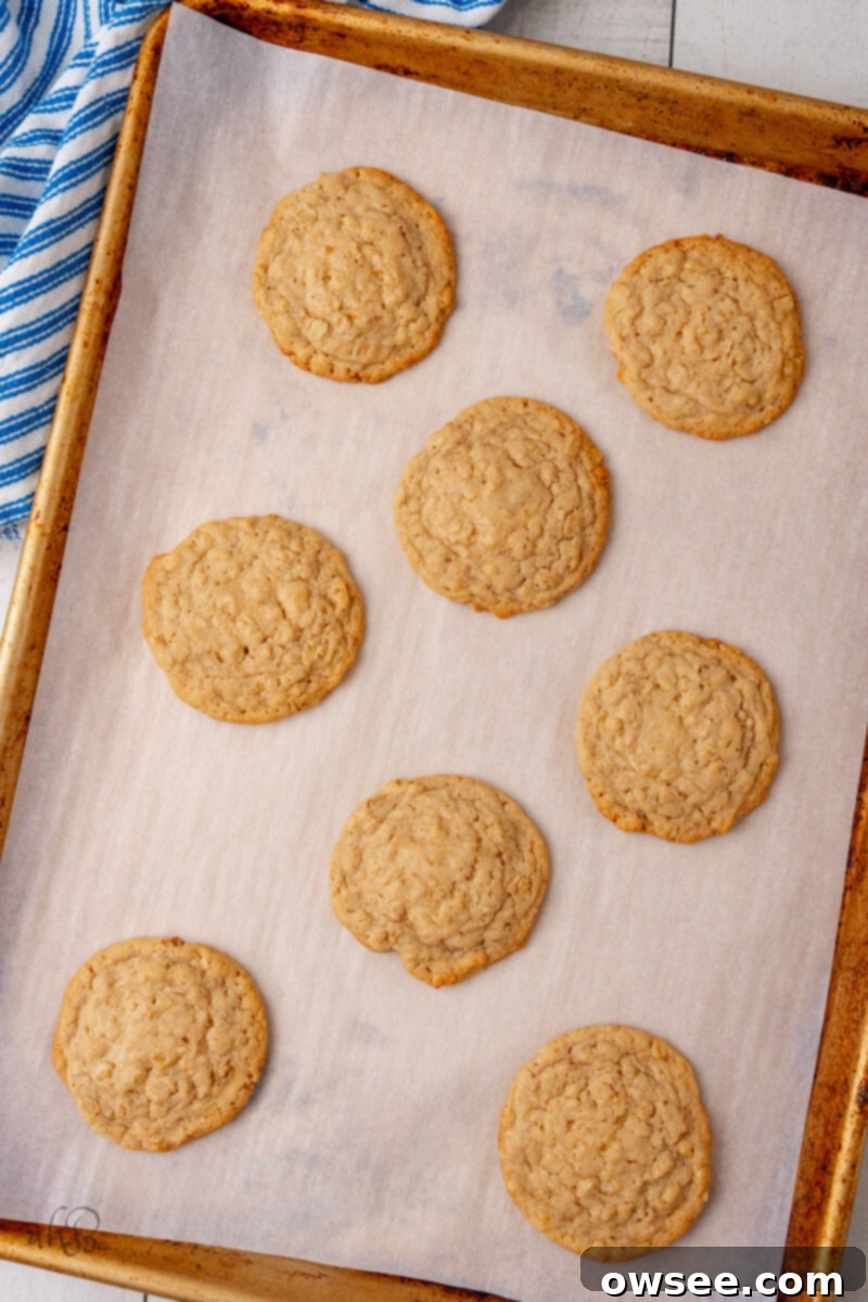 Iced Oatmeal Cookies-7 Trays of finished oatmeal cookies on a bakig sheet.