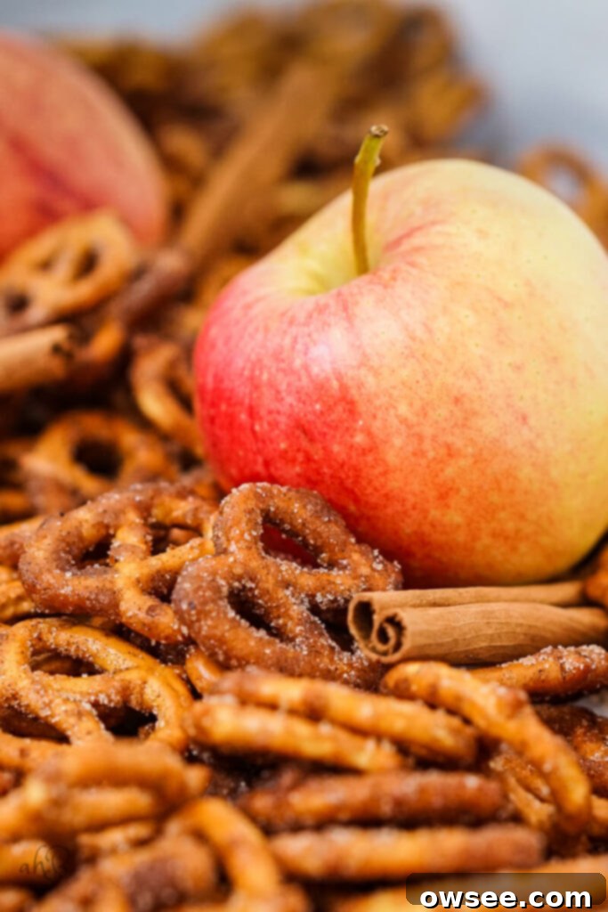 A close up image of apple cider spiced pretzels with an apple to one side.