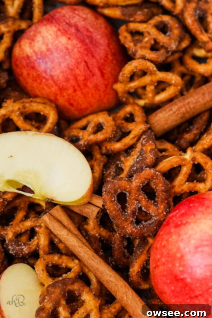 A pile of apple cider pretzels with cinnamon sticks and apple pieces. 