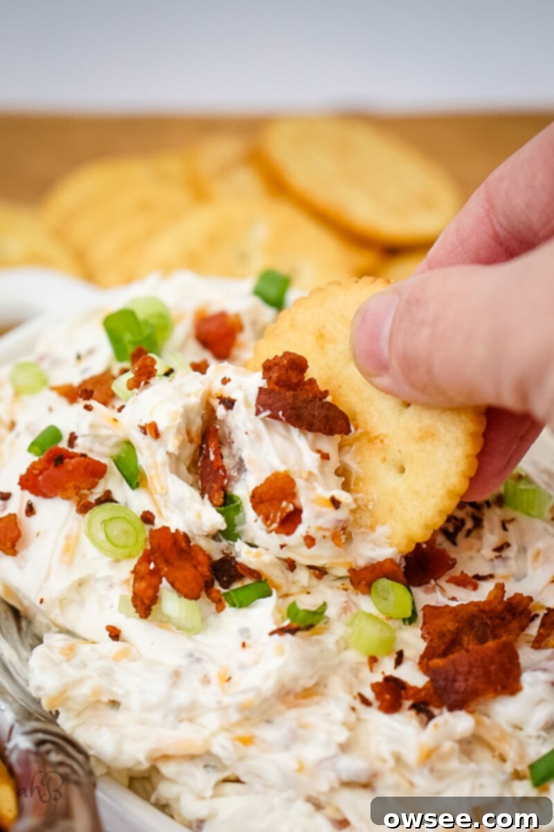 Creamy Ranch Beer Cheese Dip 2 A crisp cracker is being dipped into a rich, creamy Ranch Beer Cheese Dip, showing its thick texture and specks of bacon.