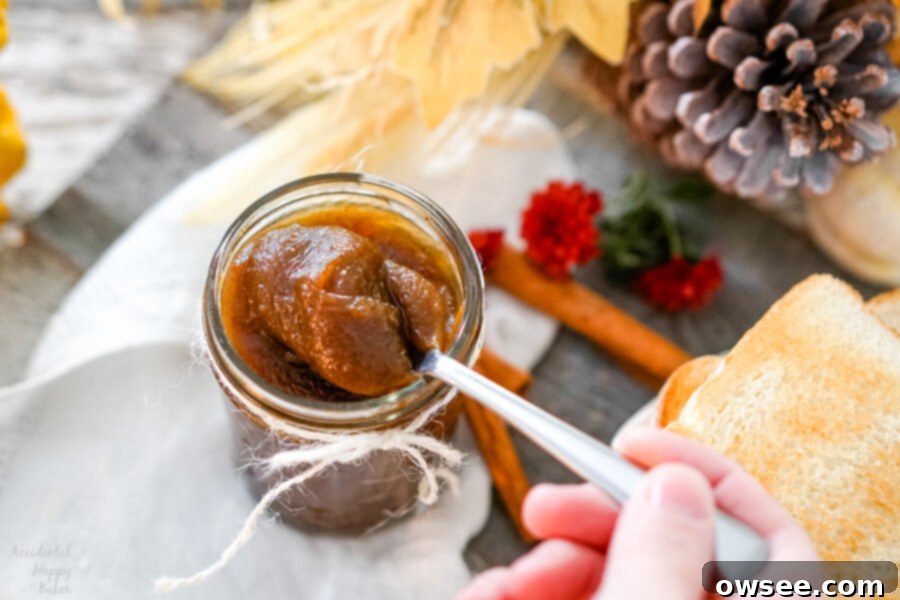 Spiced Pumpkin Delight 2 A jar of homemade pumpkin butter with a wooden spoon
