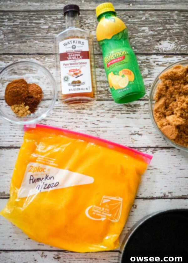 Spiced Pumpkin Delight 3 Ingredients for pumpkin butter laid out: canned pumpkin, brown sugar, spices, vanilla, lemon juice, salt