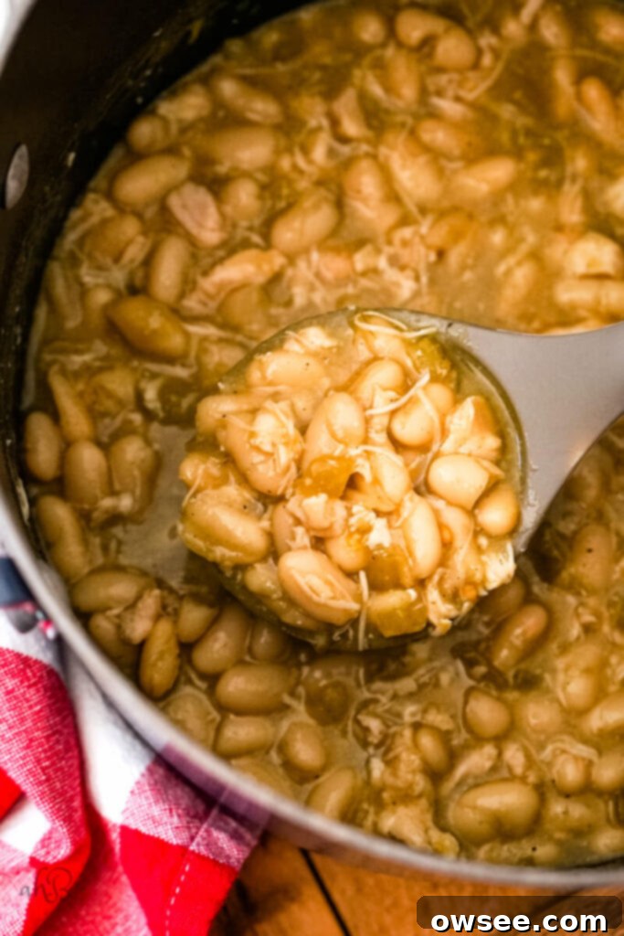 No-Fuss 7 Can Chicken Chili 7 A spoonful of white chicken chili is lifted from the stock pot, showcasing its creamy texture and readiness to be served.