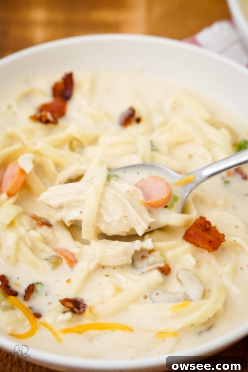 Irresistible Chicken Noodle Soup 3 A white bowl of Crack Chicken Noodle Soup topped with bacon pieces, chives, and shredded cheese with a spoon taking a bit out.
