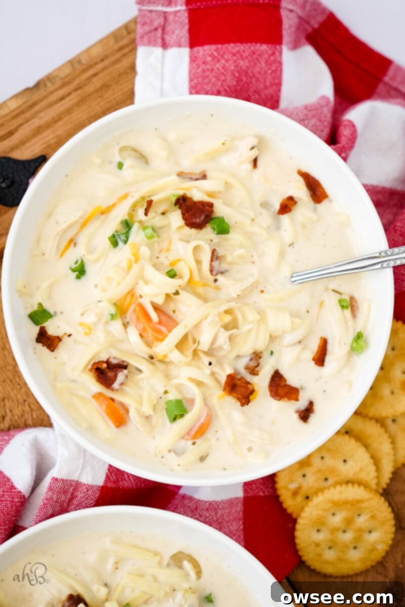 Irresistible Chicken Noodle Soup 4 A white bowl of Crack Chicken Noodle Soup topped with bacon pieces, chives, and shredded cheese served alongside of some crackers.
