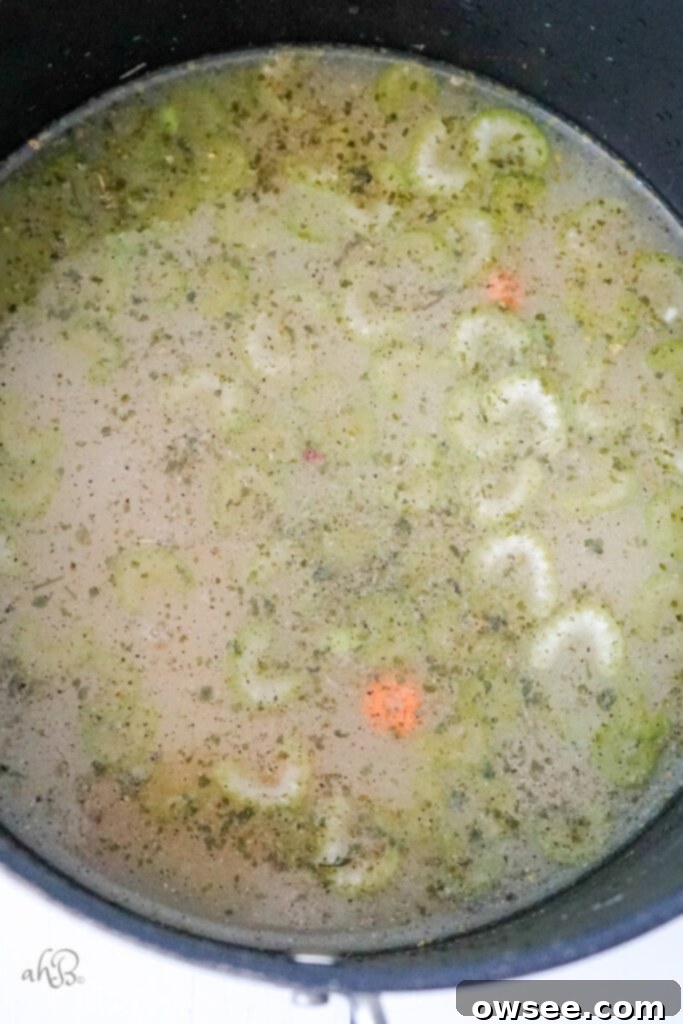 Irresistible Chicken Noodle Soup 6 A stock pot filled with chicken, chicken stock, celery, carrots, ranch mix, garlic powder, and black pepper.