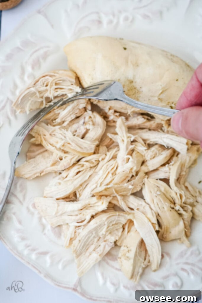 Irresistible Chicken Noodle Soup 7 A white plate of cooked chicken breasts being shredded with two forks.