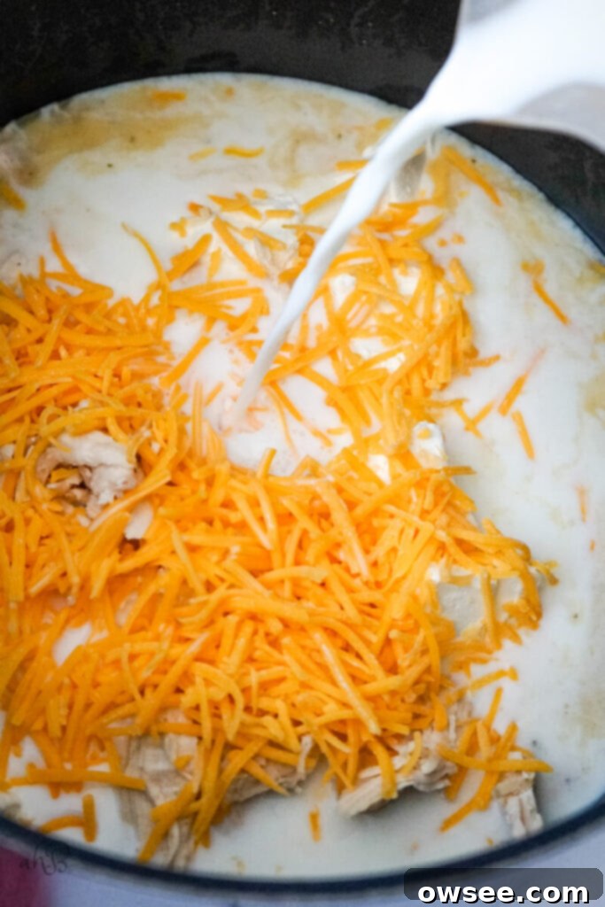 Irresistible Chicken Noodle Soup 9 Milk is added to the pot and topped with shredded cheddar cheese.