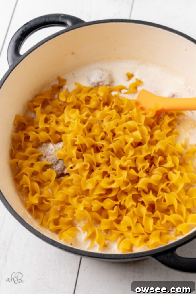 Creamy One Pot Swedish Meatballs and Noodles 8 Noodles are added to the pot with the browned Swedish meatballs and gravy ingredients, ready to simmer.