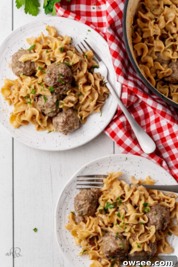 Creamy One Pot Swedish Meatballs and Noodles 10 Two plates of creamy One-Pot Swedish Meatballs and Noodles are served, garnished with fresh parsley.