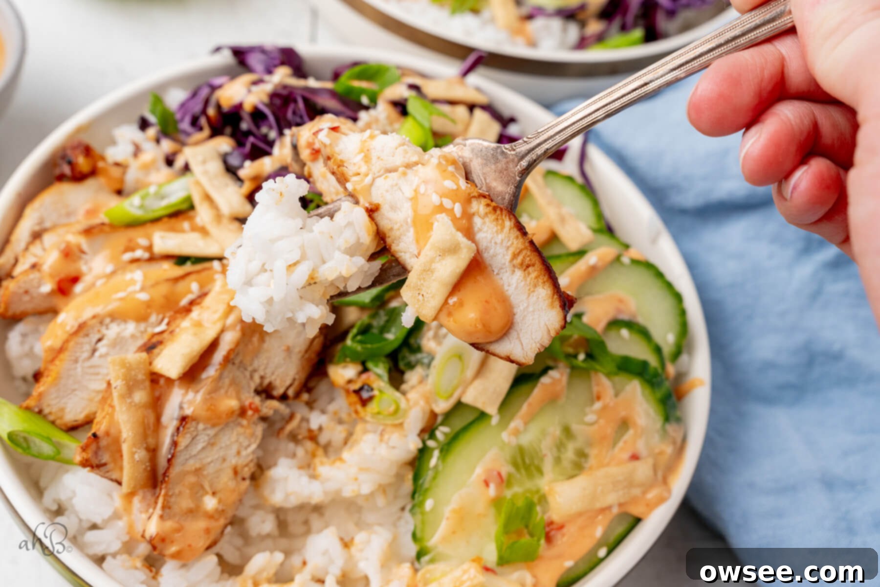 Bold Bang Bang Chicken Bowls 4 A hand holding a fork, takes a bite of chicken and rice from the bowl, demonstrating the deliciousness.