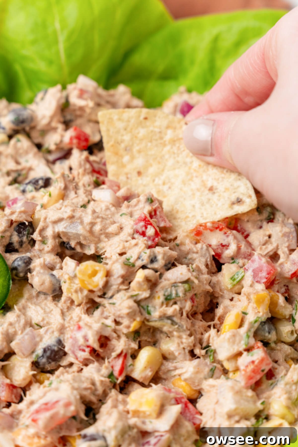 Vibrant Mexican Tuna Medley 3 A tortilla chip scoops the Mexican Tuna Salad, showcasing its vibrant ingredients.