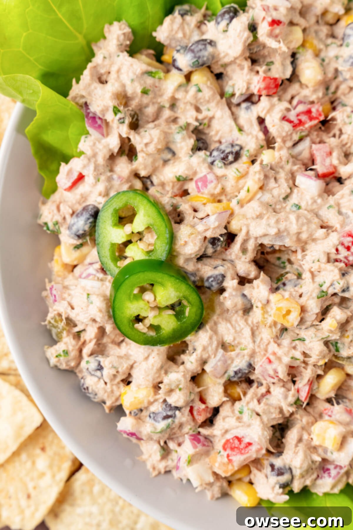 Vibrant Mexican Tuna Medley 4 The Jalapeños top the bowl of Mexican Tuna Salad, adding a pop of color and spice.