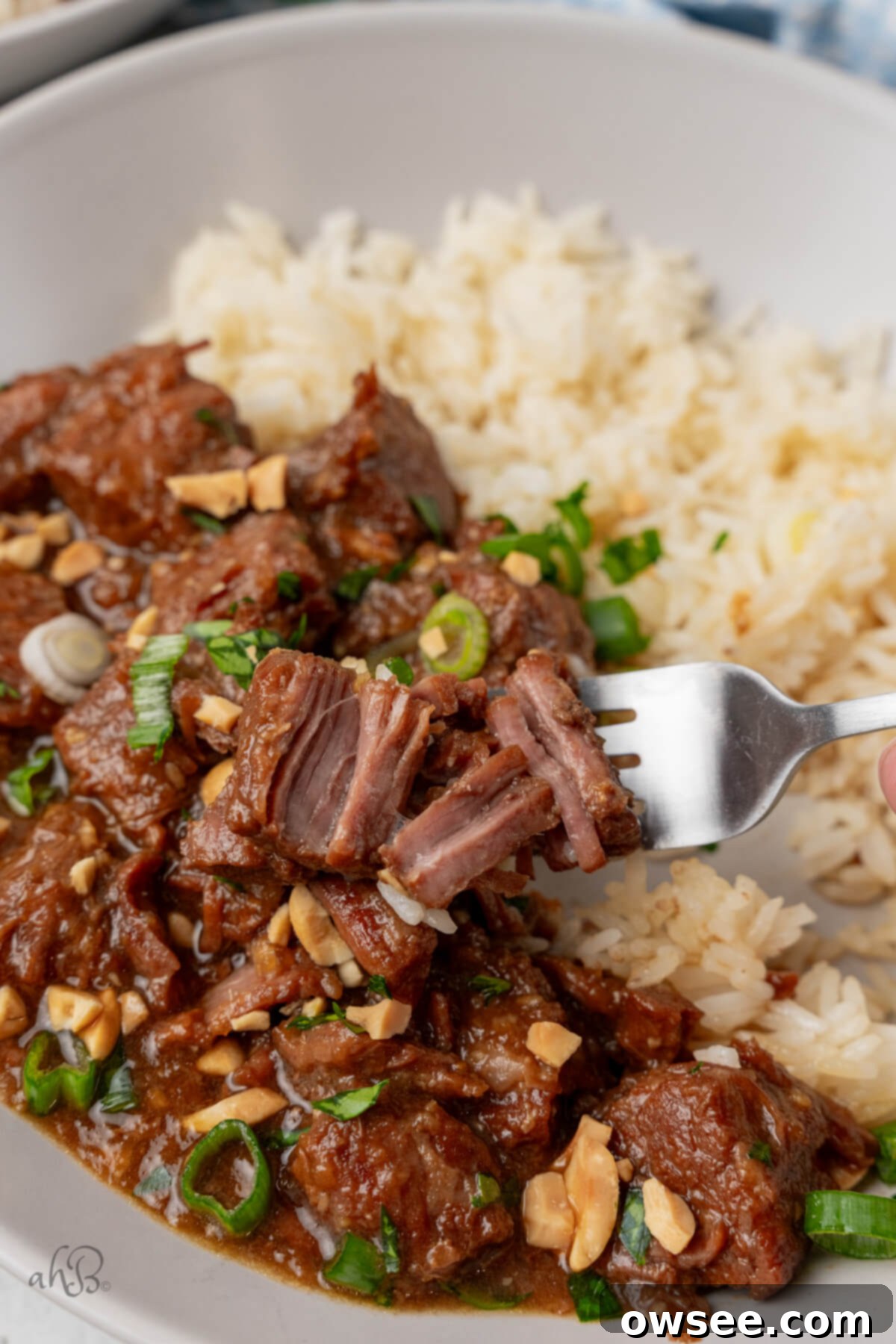 Tender Instant Pot Korean Beef 3 A fork holds a piece of Korean beef falling apart.