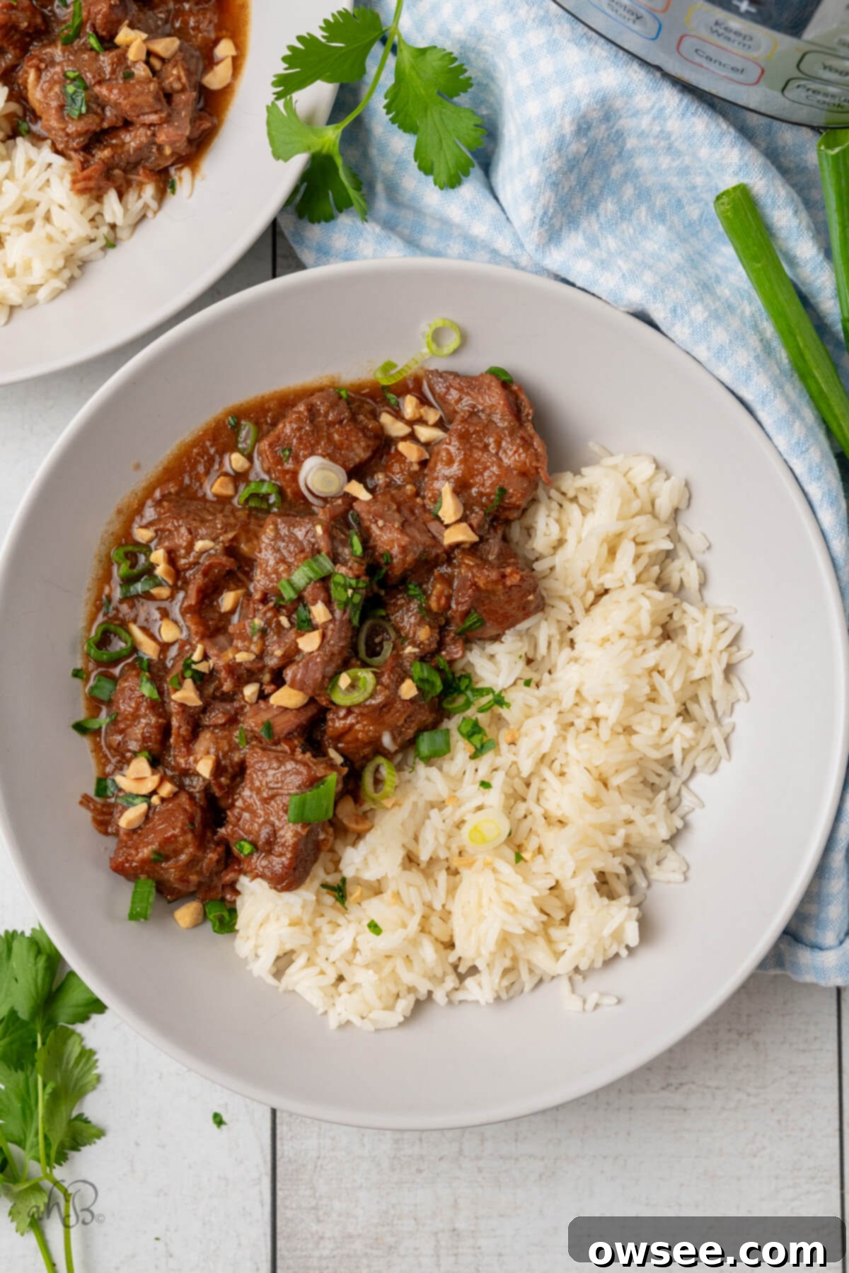 Tender Instant Pot Korean Beef 8 The Korean Beef is served with white rice on a white plate.
