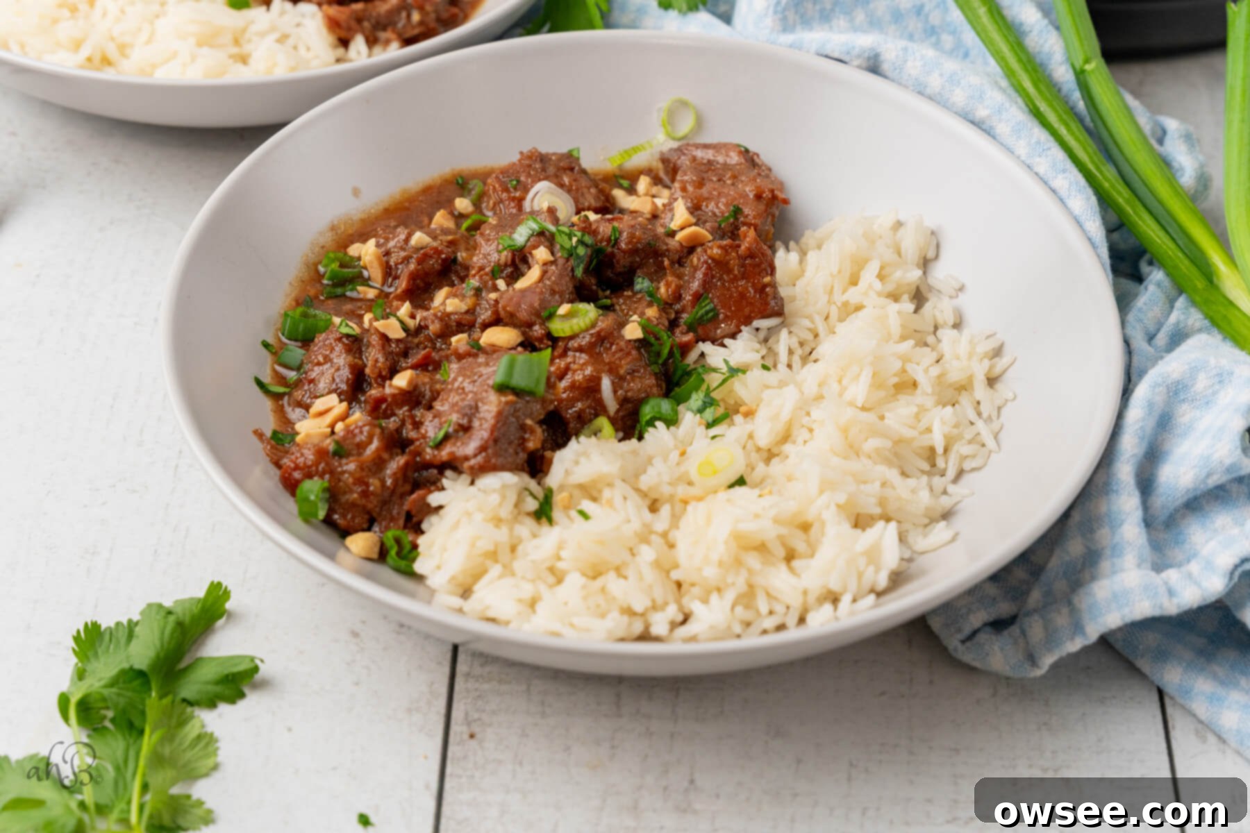 Tender Instant Pot Korean Beef 9 A white bowl of Korean Beef served with white rice and topped with peanuts and green onions.